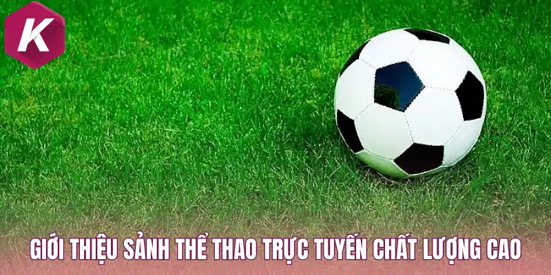 Giới thiệu sảnh thể thao trực tuyến chất lượng cao