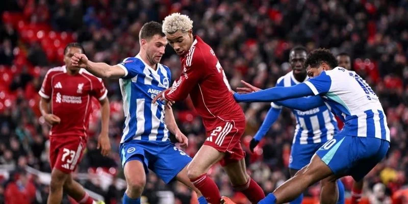 Tổng quan trận Liverpool vs Brighton